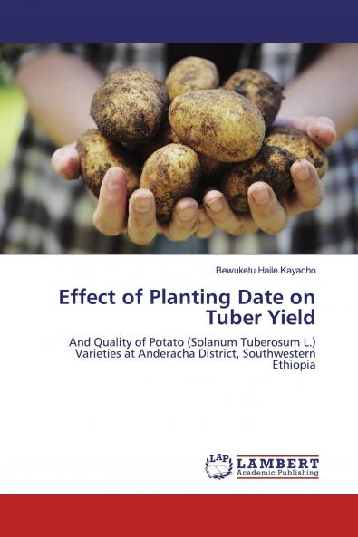 Effect of Planting Date on Tuber Yield