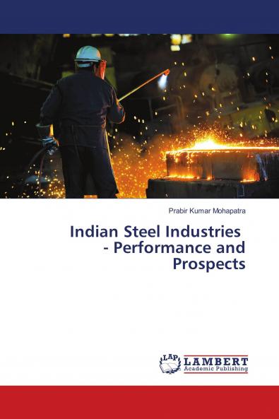 Indian Steel Industries - Performance and Prospects