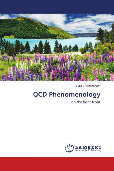 QCD Phenomenology
