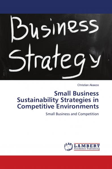 Small Business Sustainability Strategies in Competitive Environments