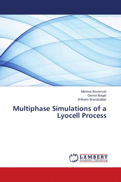 Multiphase Simulations of a Lyocell Process