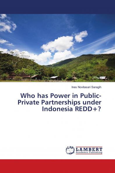 Who has Power in Public-Private Partnerships under Indonesia REDD+?
