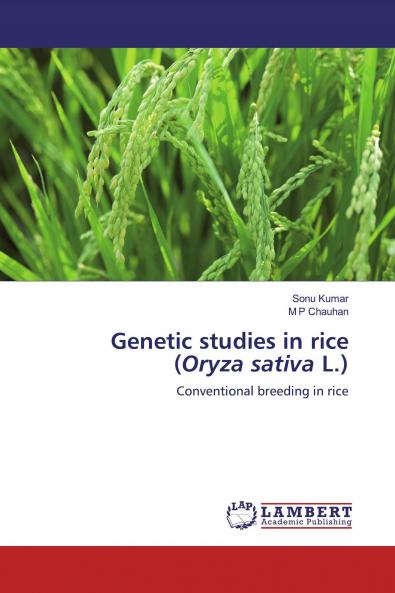 Genetic studies in rice (Oryza sativa L.)
