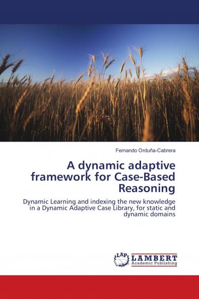 A dynamic adaptive framework for Case-Based Reasoning