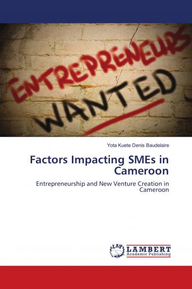 Factors Impacting SMEs in Cameroon