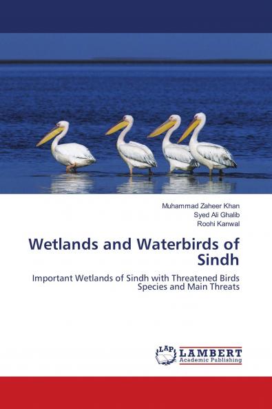 Wetlands and Waterbirds of Sindh