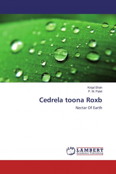 Cedrela toona Roxb
