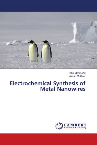 Electrochemical Synthesis of Metal Nanowires