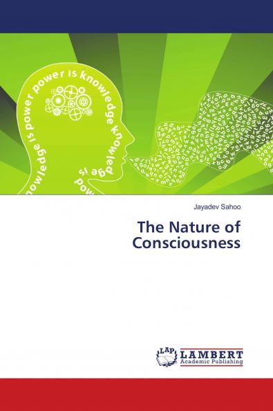 The Nature of Consciousness