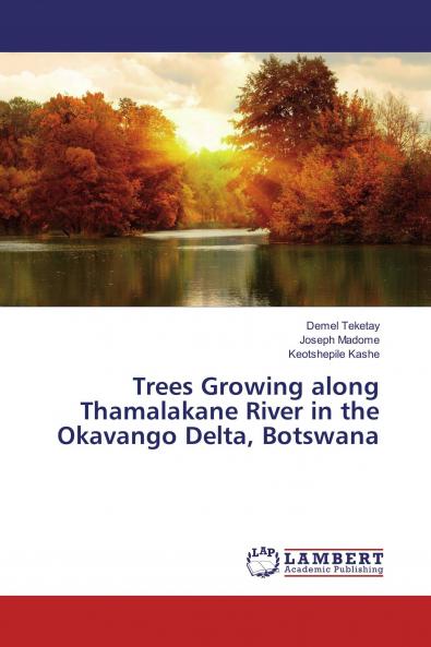 Trees Growing along Thamalakane River in the Okavango Delta Botswana