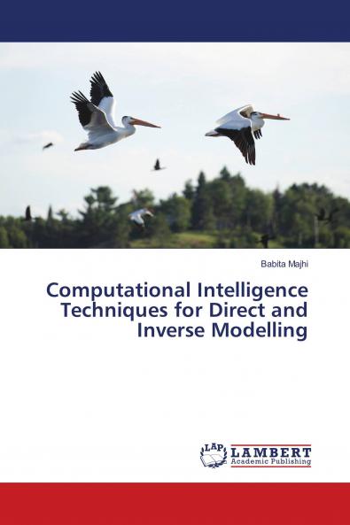 Computational Intelligence Techniques for Direct and Inverse Modelling