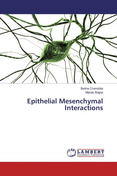 Epithelial Mesenchymal Interactions