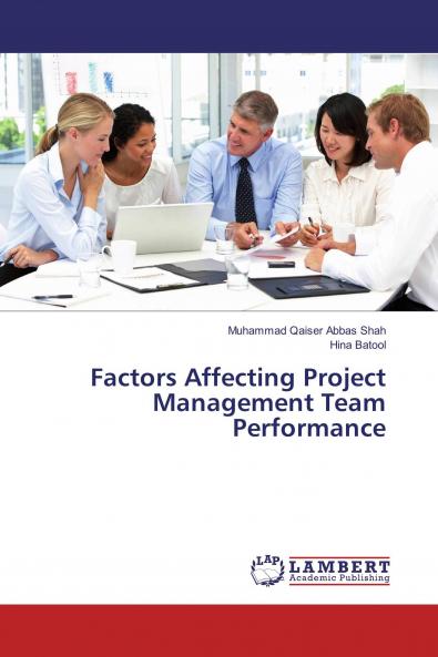 Factors Affecting Project Management Team Performance