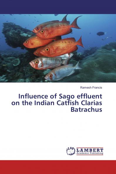 Influence of Sago effluent on the Indian Catfish Clarias Batrachus