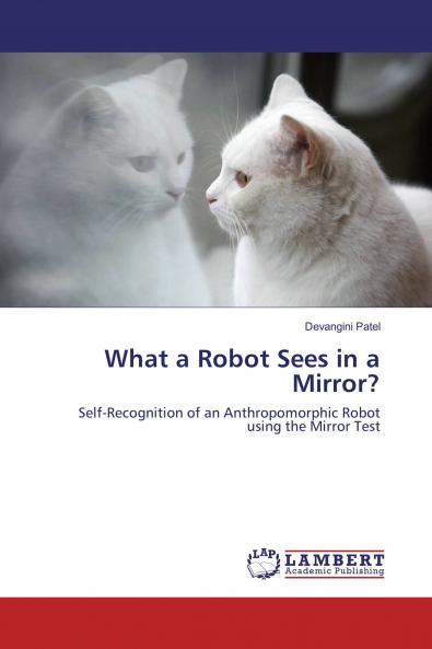What a Robot Sees in a Mirror?