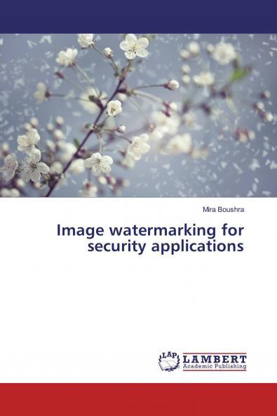 Image watermarking for security applications