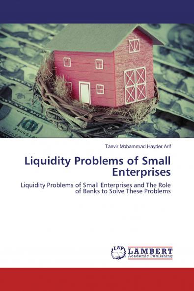 Liquidity Problems of Small Enterprises