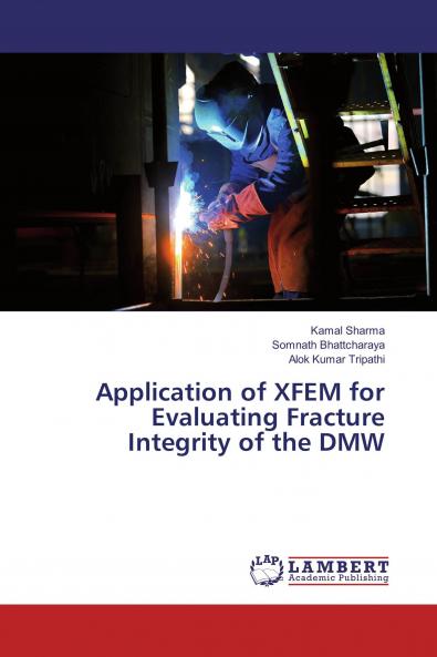 Application of XFEM for Evaluating Fracture Integrity of the DMW