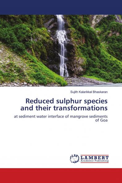 Reduced sulphur species and their transformations