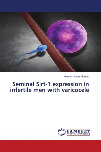 Seminal Sirt-1 expression in infertile men with varicocele