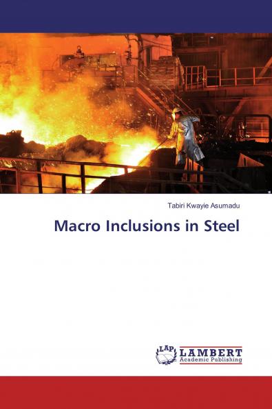 Macro Inclusions in Steel