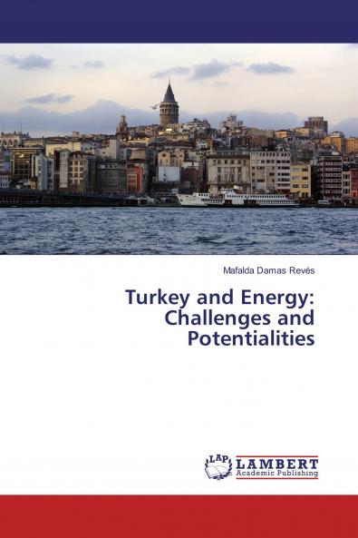 Turkey and Energy: Challenges and Potentialities