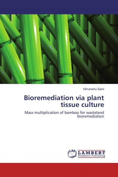 Bioremediation via plant tissue culture
