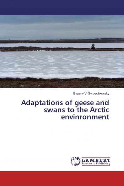 Adaptations of geese and swans to the Arctic envinronment