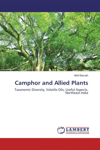 Camphor and Allied Plants