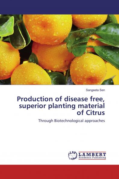 Production of disease free superior planting material of Citrus