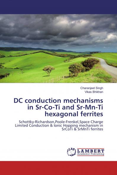 DC conduction mechanisms in Sr-Co-Ti and Sr-Mn-Ti hexagonal ferrites