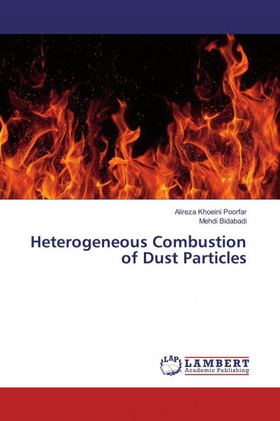 Heterogeneous Combustion of Dust Particles
