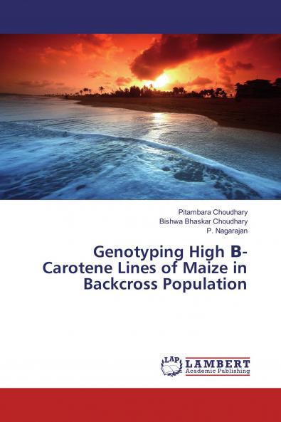 Genotyping High ��- Carotene Lines of Maize in Backcross Population