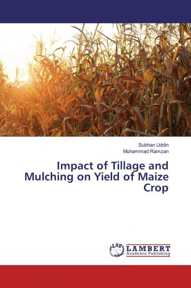 Impact of Tillage and Mulching on Yield of Maize Crop