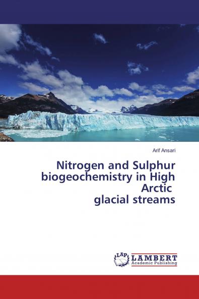 Nitrogen and Sulphur biogeochemistry in High Arctic glacial streams