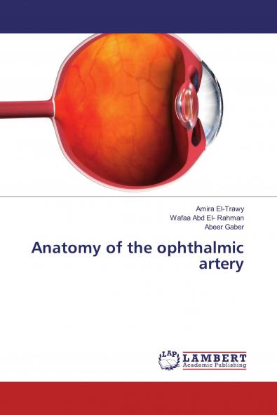 Anatomy of the ophthalmic artery