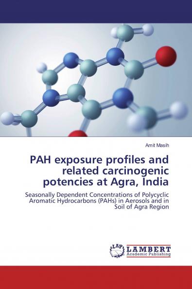 PAH exposure profiles and related carcinogenic potencies at Agra India