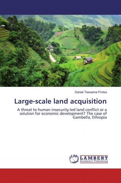 Large-scale land acquisition