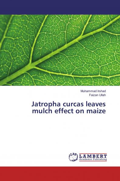 Jatropha curcas leaves mulch effect on maize