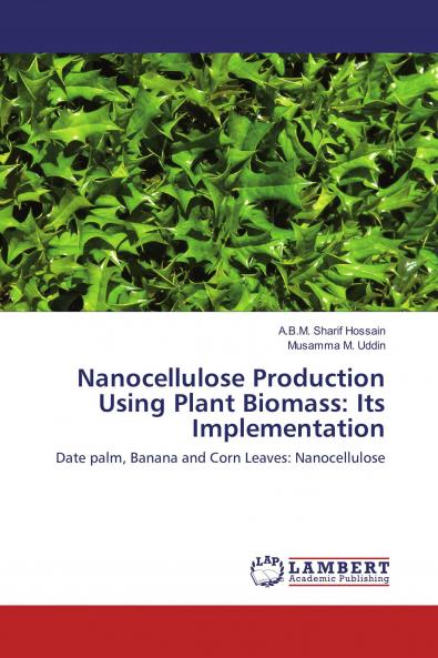 Nanocellulose Production Using Plant Biomass: Its Implementation