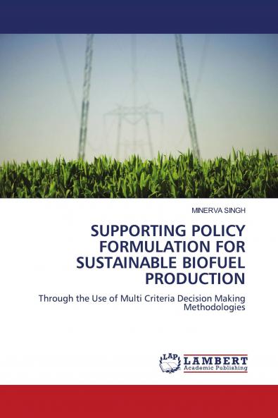 Supporting Policy Formulation for Sustainable Biofuel Production