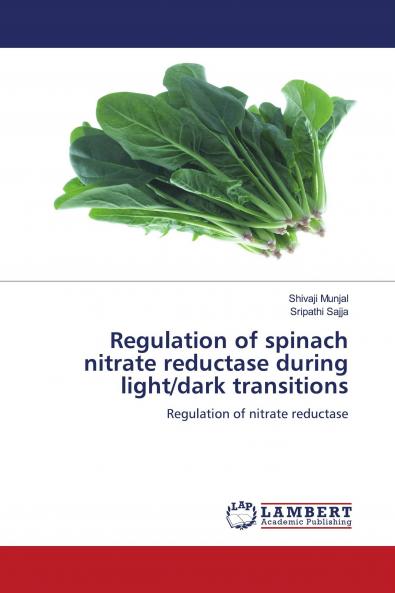 Regulation of Spinach Nitrate Reductase During Light/Dark Transitions