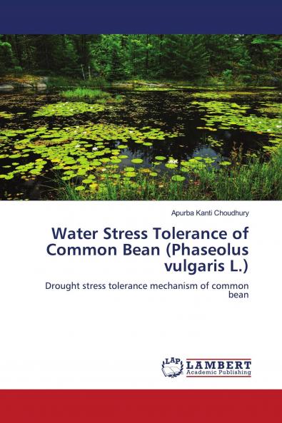 Water Stress Tolerance of Common Bean (Phaseolus Vulgaris L.)