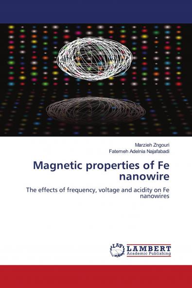 Magnetic Properties of Fe Nanowire