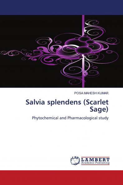 Salvia Splendens (Scarlet Sage)
