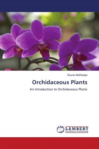 Orchidaceous Plants