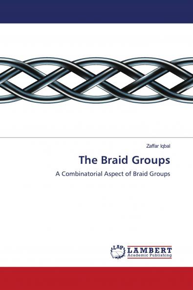 The Braid Groups