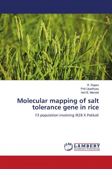 Molecular Mapping of Salt Tolerance Gene in Rice