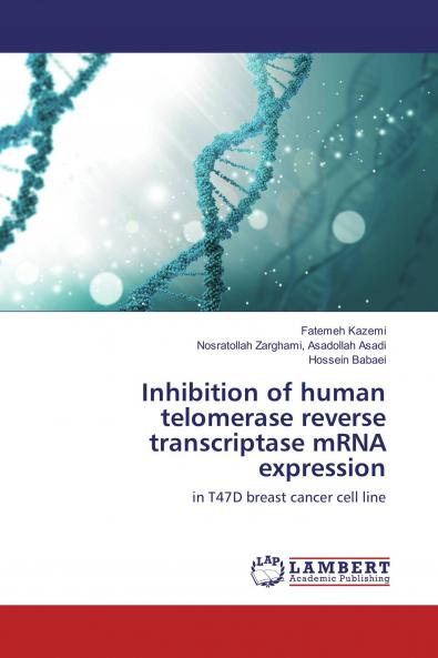 Telomerase and cancer therapy with nanoparticles