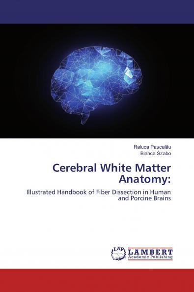 Cerebral White Matter Anatomy: